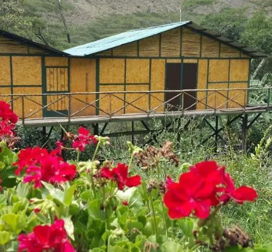 Araplay Santa Teresa (Cusco)
