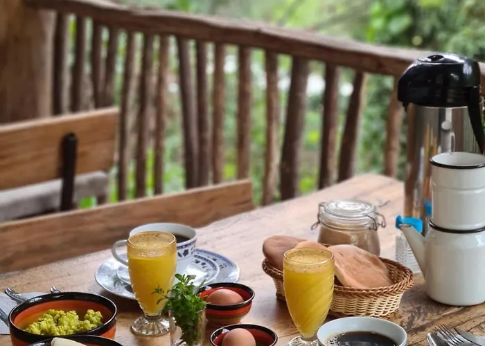 Bed & Breakfast Araplay Santa Teresa (Cusco)